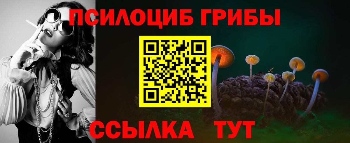 Псилоцибиновые грибы прущие грибы Сегежа
